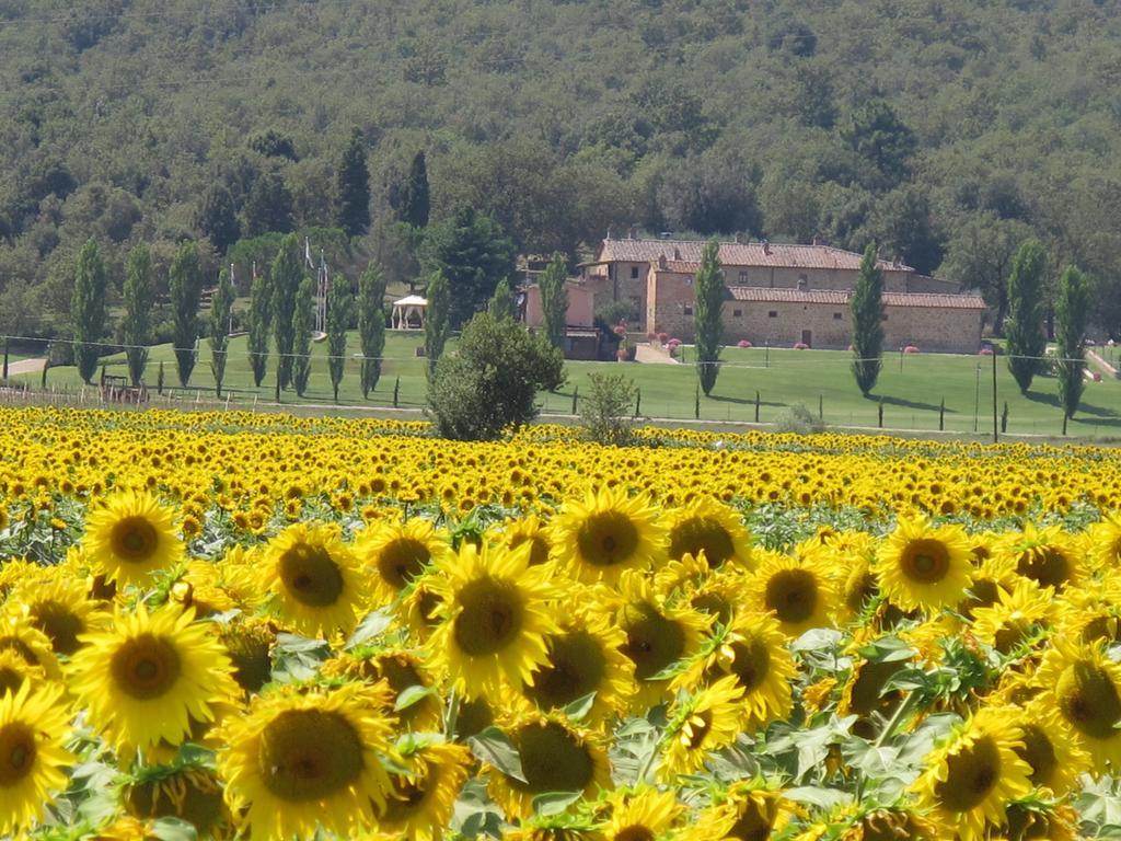 I Grandi Di Toscana Ciggiano Екстериор снимка